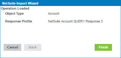 NetSuite Import Wizard creating the profile.