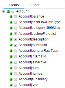 NetSuite operation with field selection.