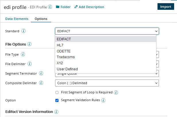 File Options section of the EDI profile’s Options tab.