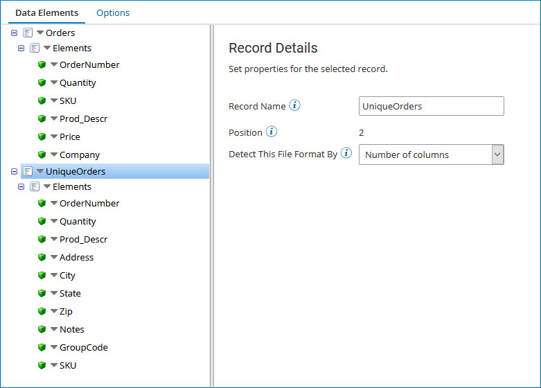 Sample record shown on the Data Elements tab of a flat file profile.