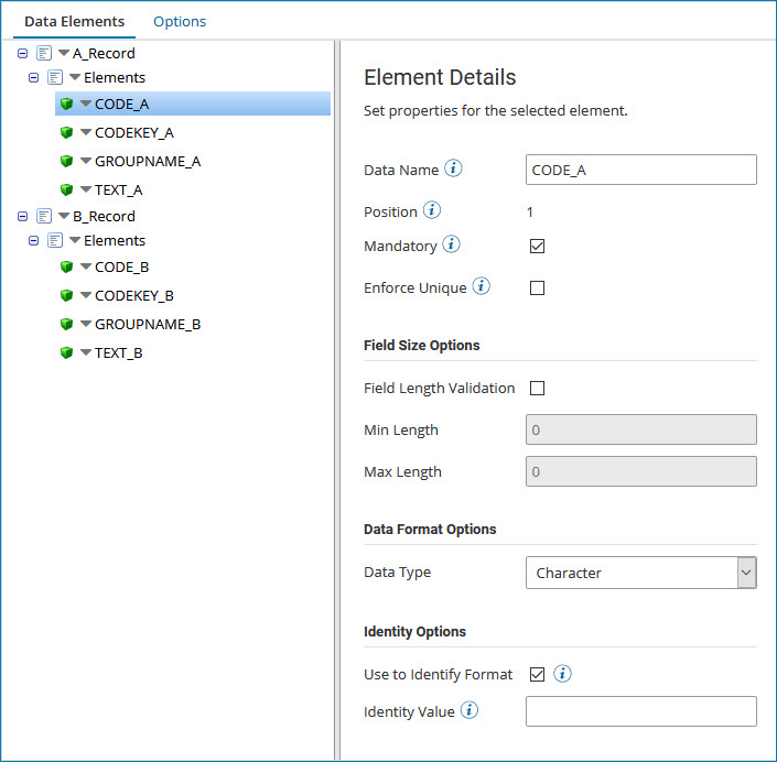 Sample element shown on the Data Elements tab of a flat file profile.