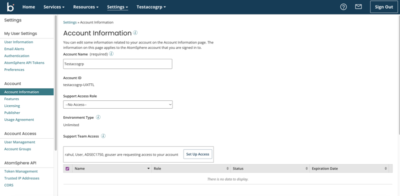 Boomi support requests account access in the Account Information panel