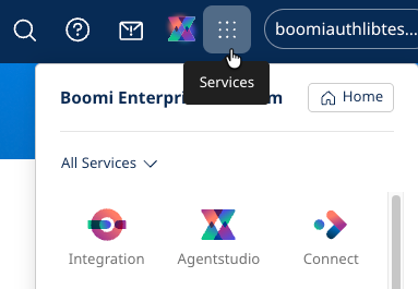 Boomi Connect on the Services Menu