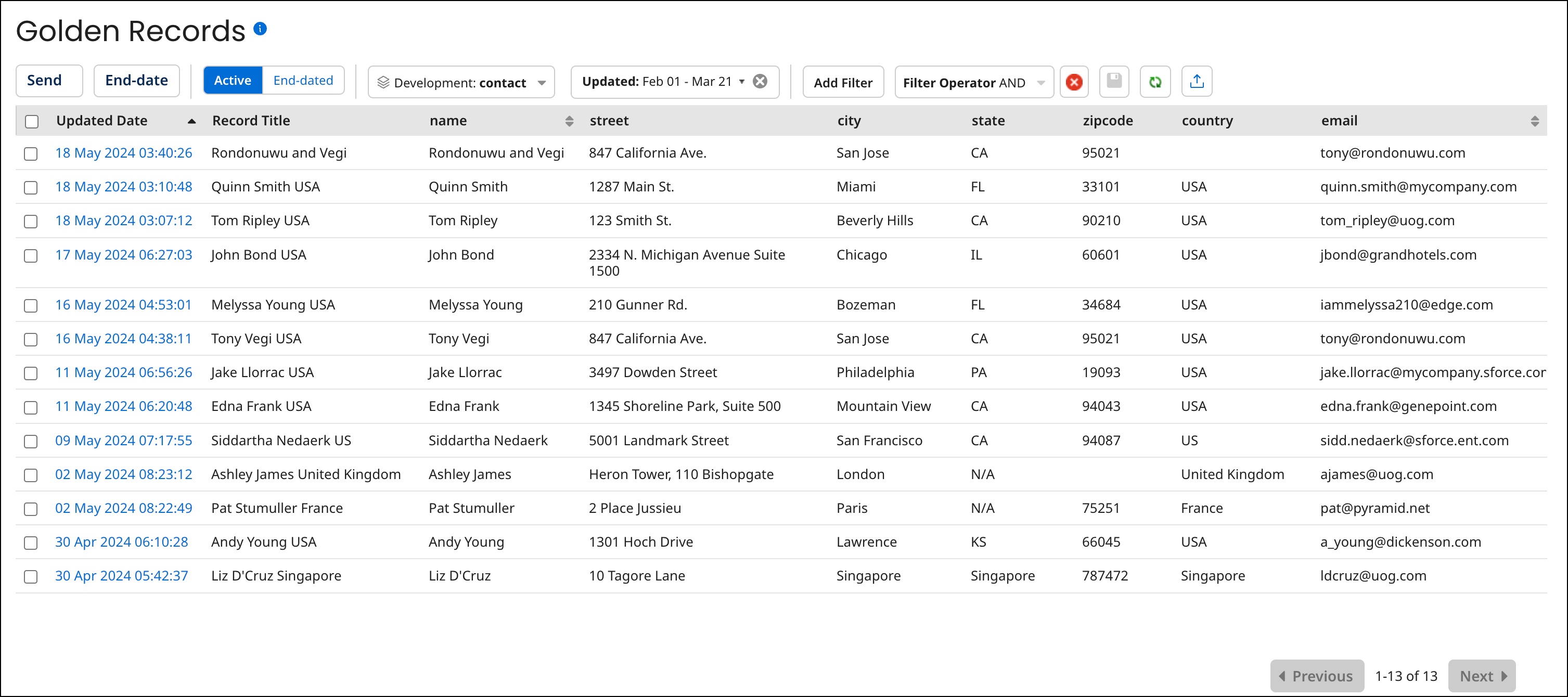 Master data domain data grid